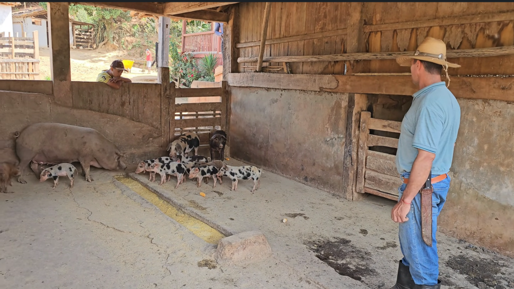 O que essa família faz de diferente para viver em uma linda fazenda com muita fartura