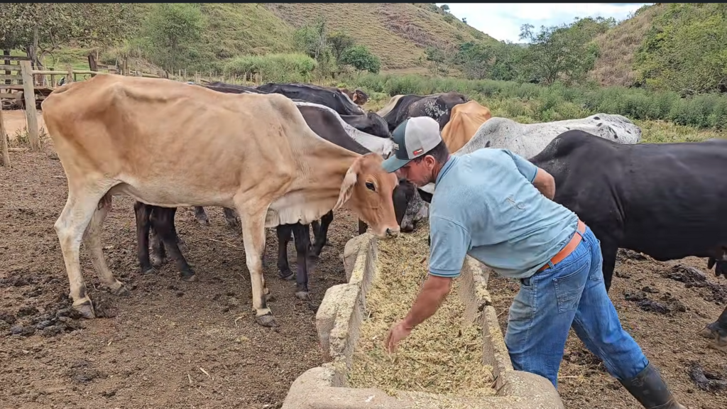 O que essa família faz de diferente para viver em uma linda fazenda com muita fartura