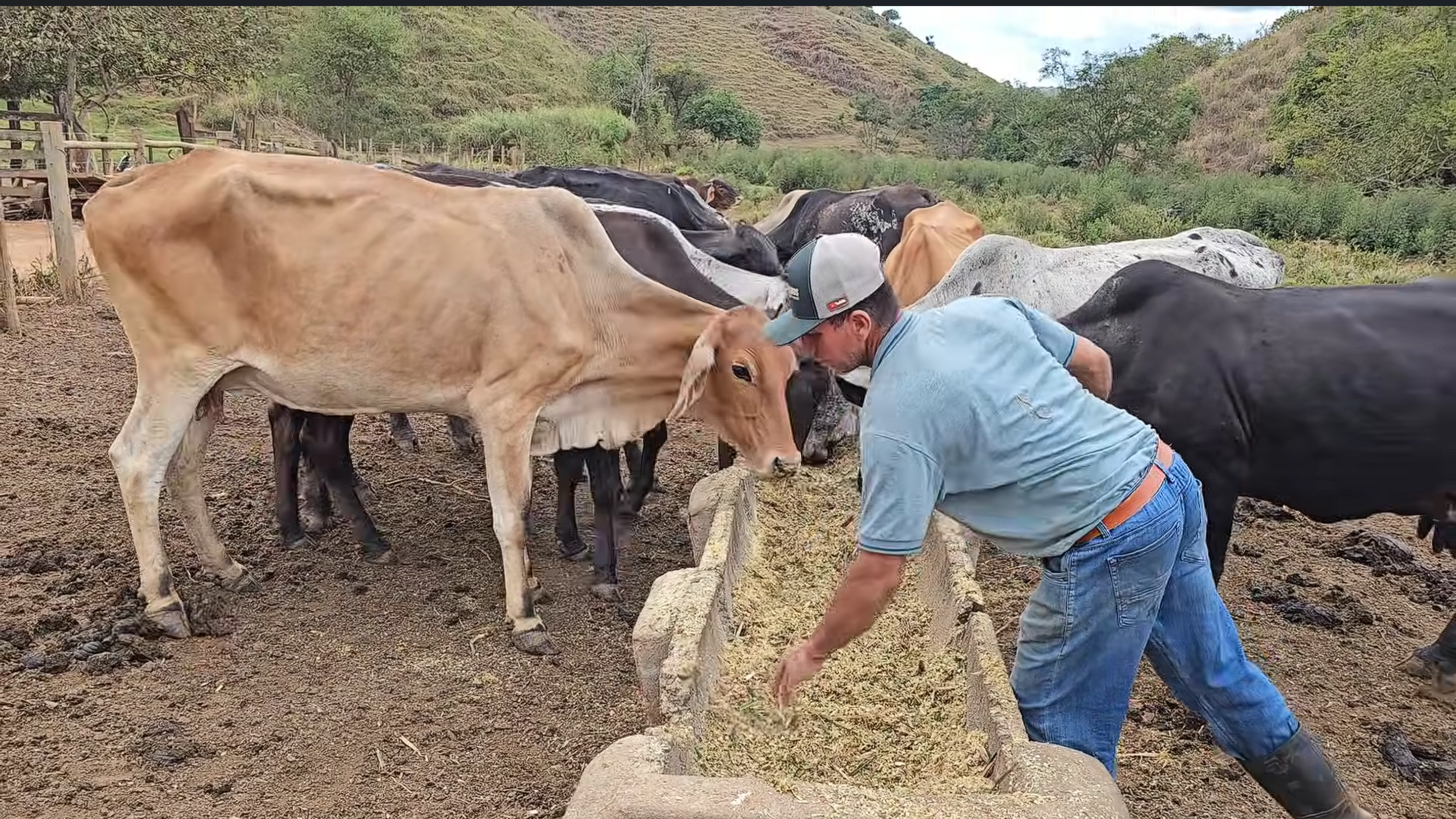 O que essa família faz de diferente para viver em uma linda fazenda com muita fartura