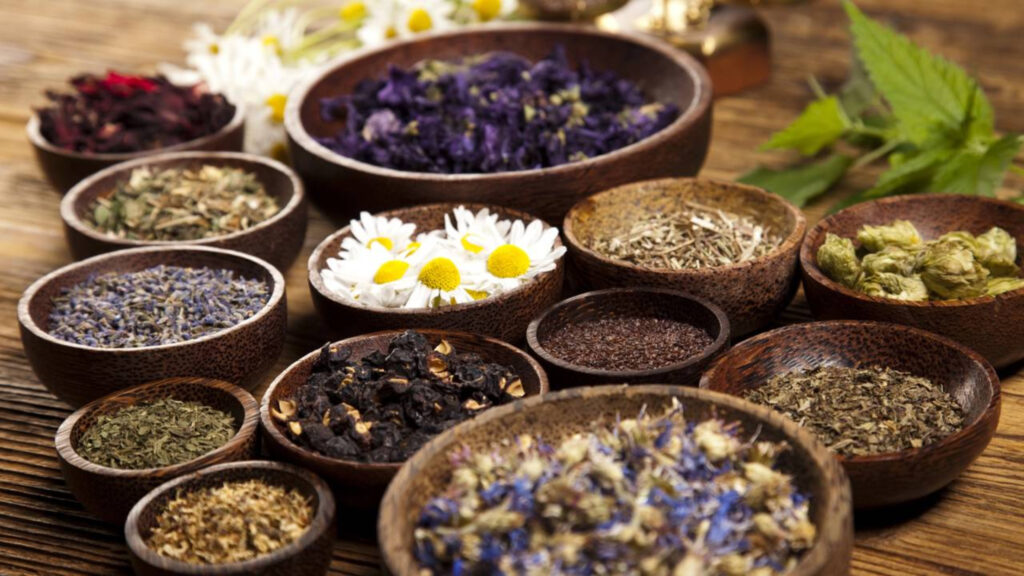 15 Ervas naturais medicinais que transformam o quintal em uma farmácia viva