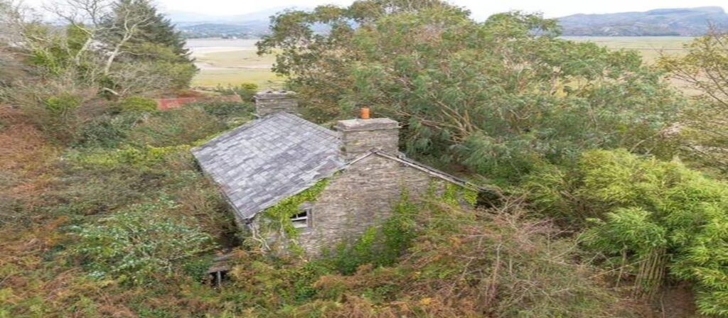 Essa ilha está à venda pelo preço de uma casa, mas comprá-la pode ser uma péssima ideia
