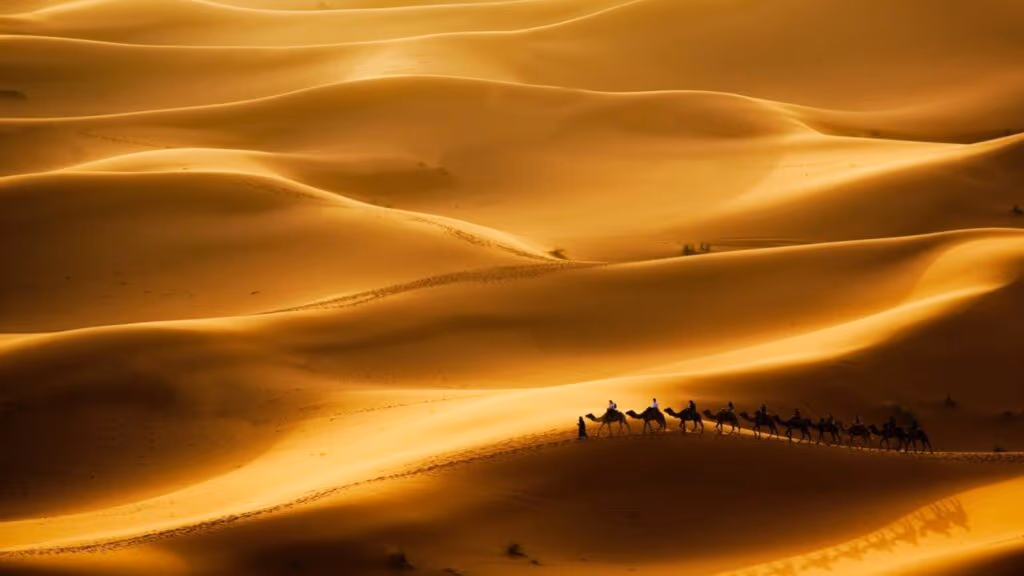 Esses dois países no meio do deserto importam milhões de toneladas de areia todos os anos: tudo é um problema de textura