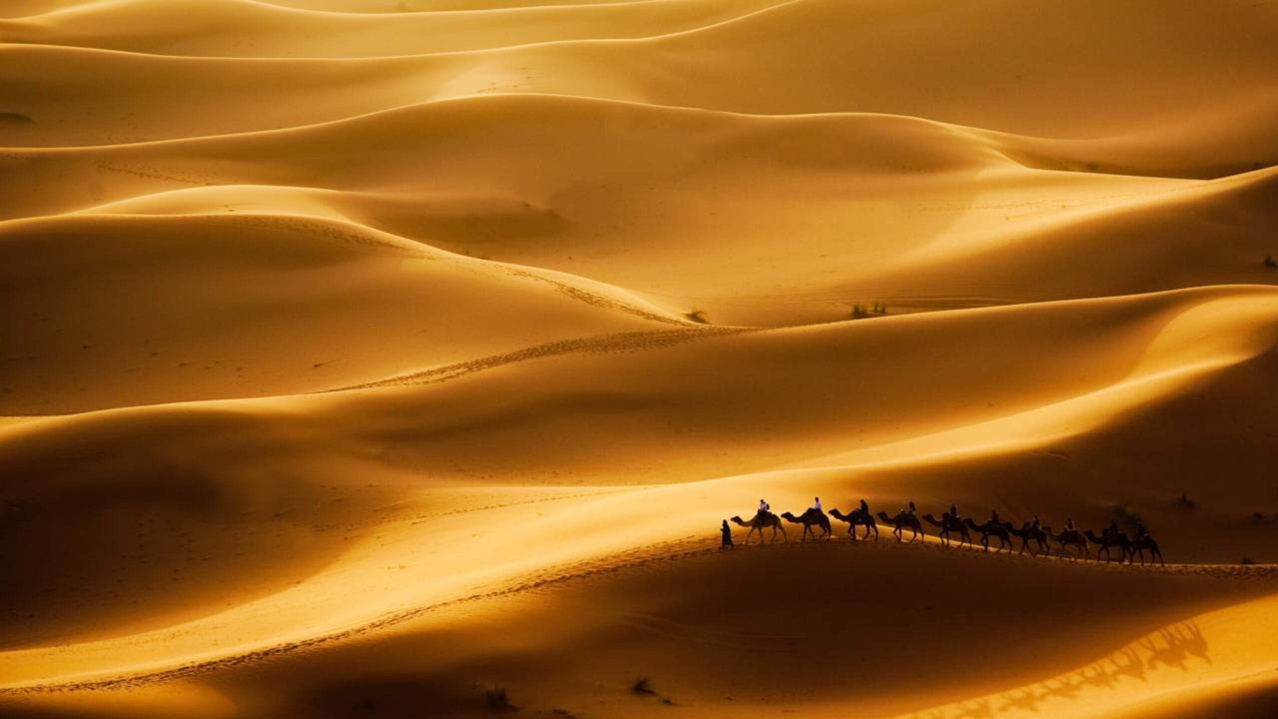 Esses dois países no meio do deserto importam milhões de toneladas de areia todos os anos: tudo é um problema de textura