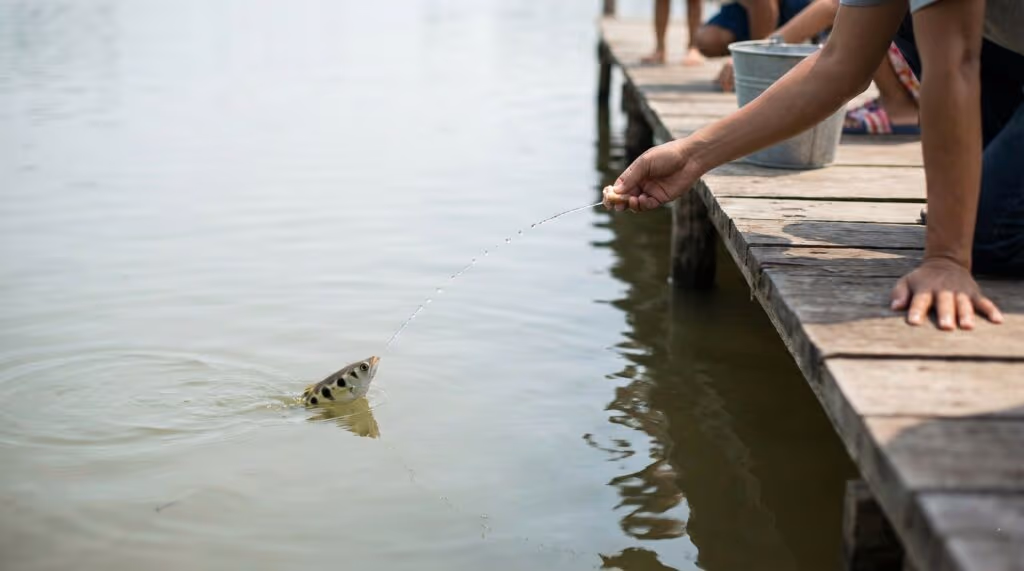 Esse peixe consegue identificar rostos humanos e dispara jatos de água em quem passa perto