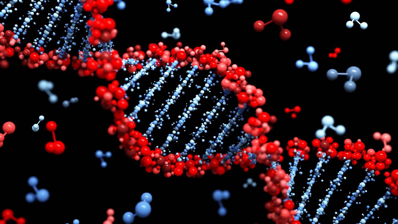 Genética confirma a continuidade de população isolada do sul da Grécia e sustenta relatos medievais antigos sobre sua origem helênica