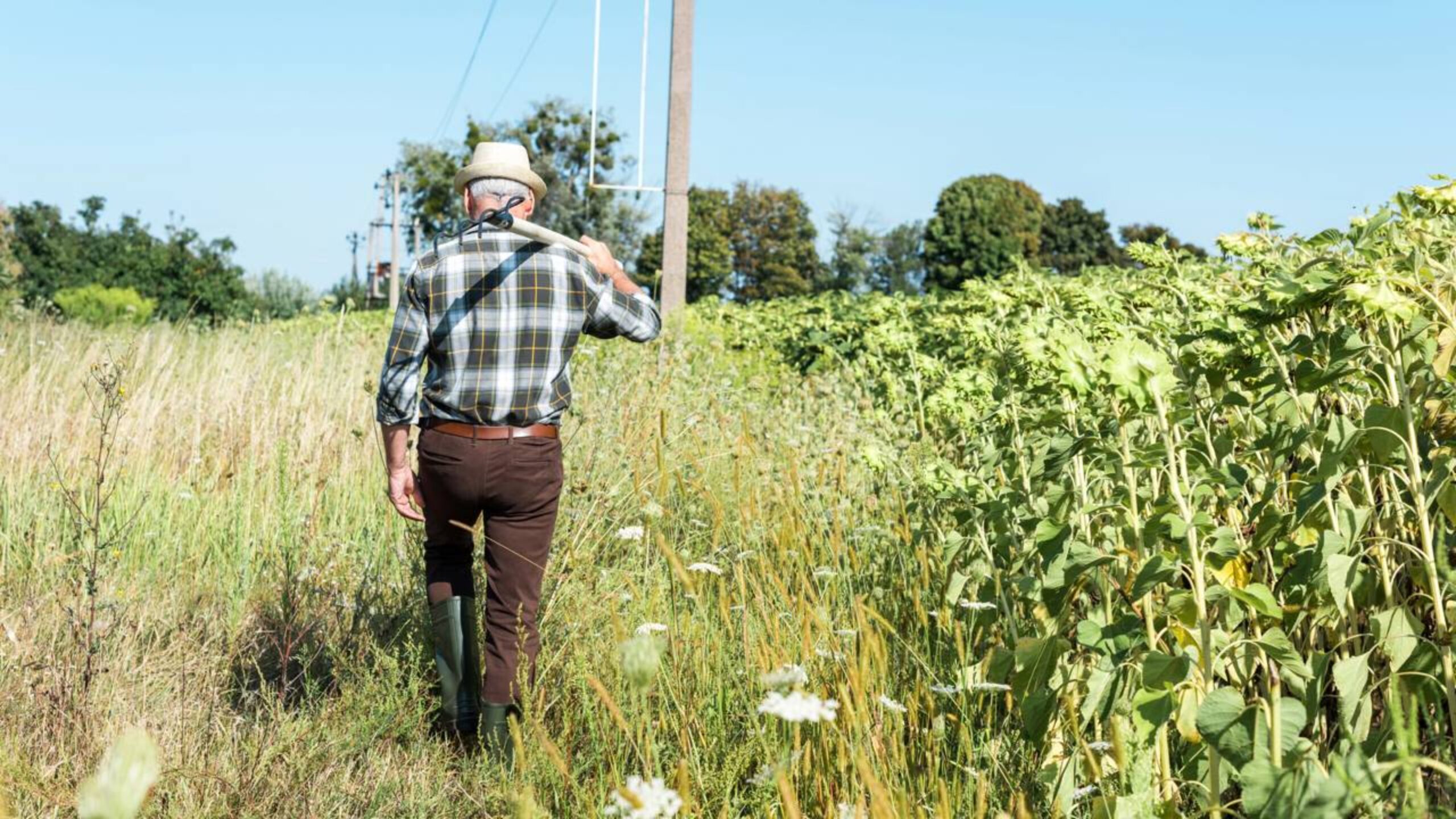 Aldeia comprada por 100 mil euros em Portugal revela tesouros durante obras de restauro