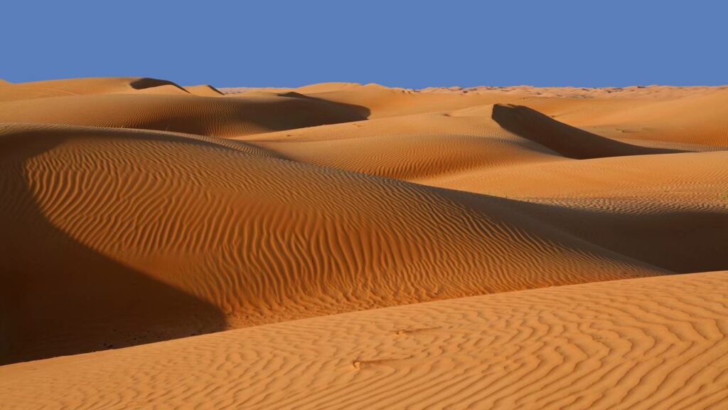 Japão e Noruega fazem mistura de madeira com areia e descobrem como transformar o deserto em concreto