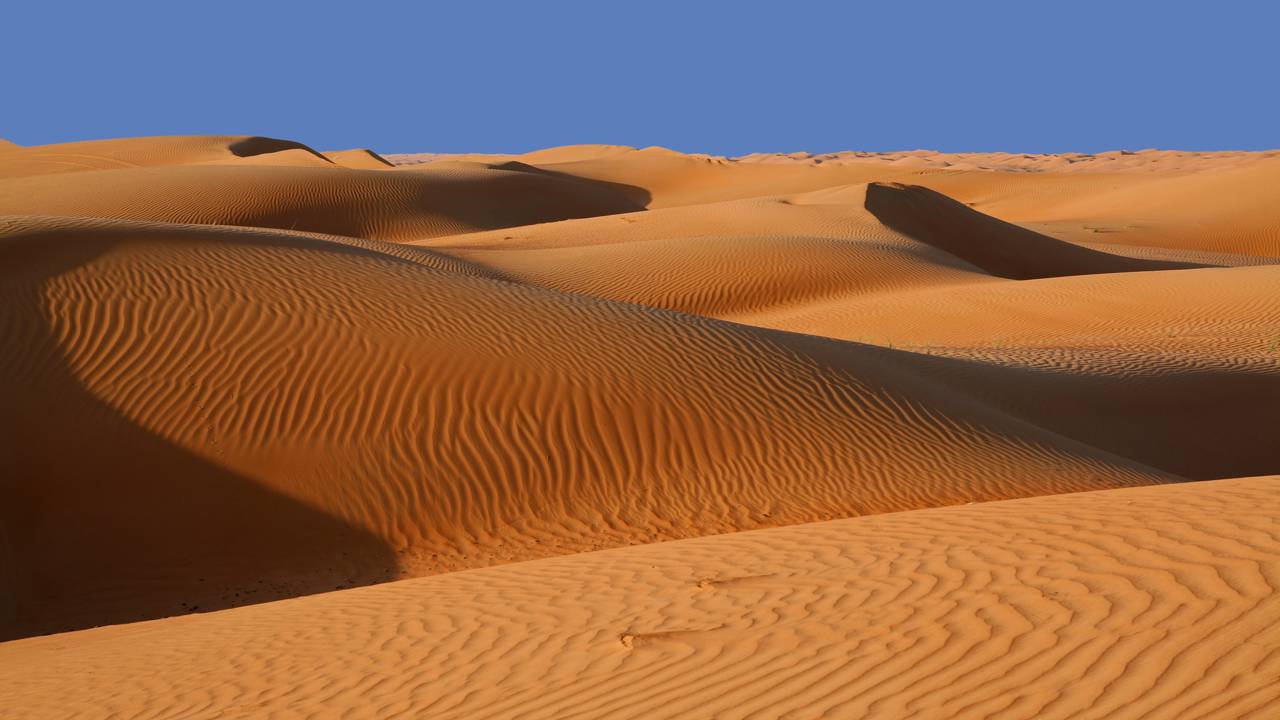 Japão e Noruega fazem mistura de madeira com areia e descobrem como transformar o deserto em concreto