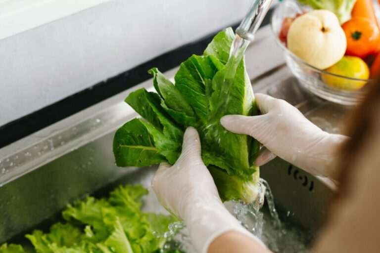 Intoxicação alimentar: veja hábitos que aumentam o risco e como se proteger