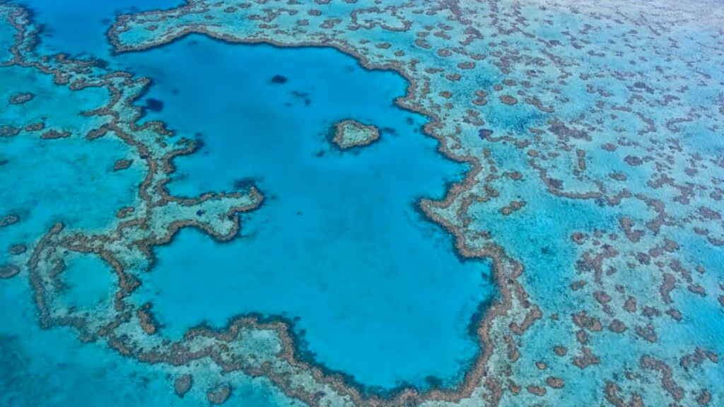 Mãe e filha encontram a maior colônia de corais do planeta na Grande Barreira de Corais da Austrália