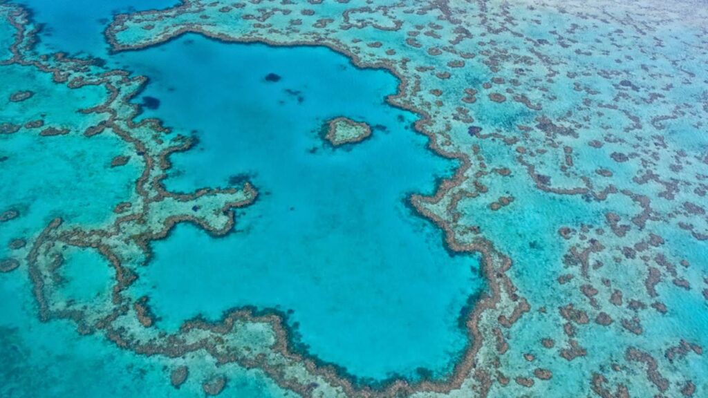 Mãe e filha encontram a maior colônia de corais do planeta na Grande Barreira de Corais da Austrália