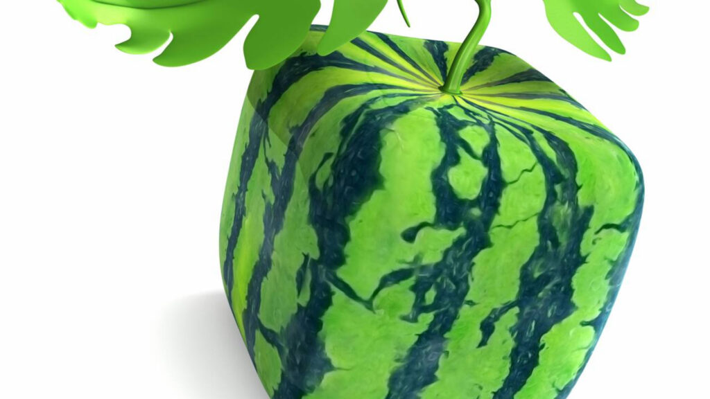 As frutas mais caras do mundo que impressionam pelo preço e pela raridade