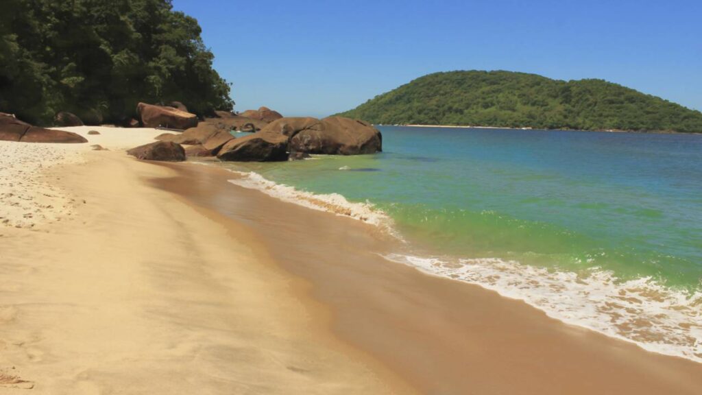 Conheça a praia brasileira dos tubarões onde o turismo é proibido por motivos de segurança