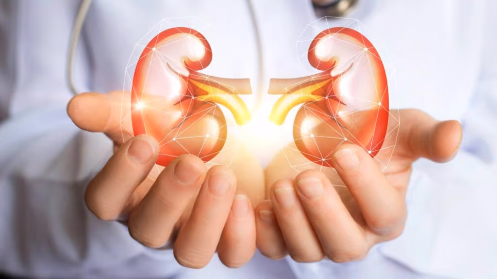 Usar anti-inflamatório afeta os rins se usado por muito tempo?