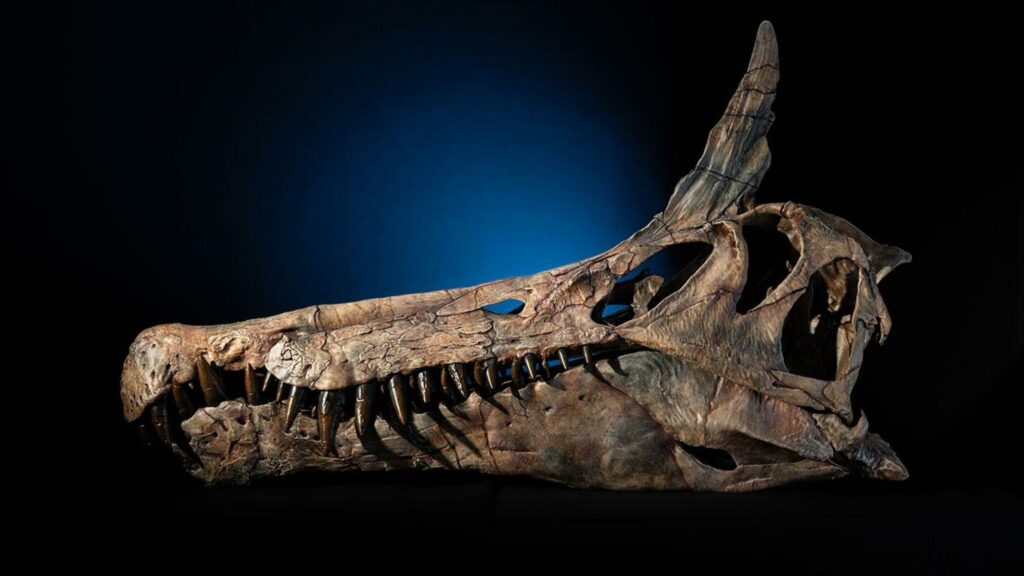 Spinosaurus mirabilis, o "garça do inferno" do Saara que obriga a reescrever tudo o que você sabia sobre dinossauros