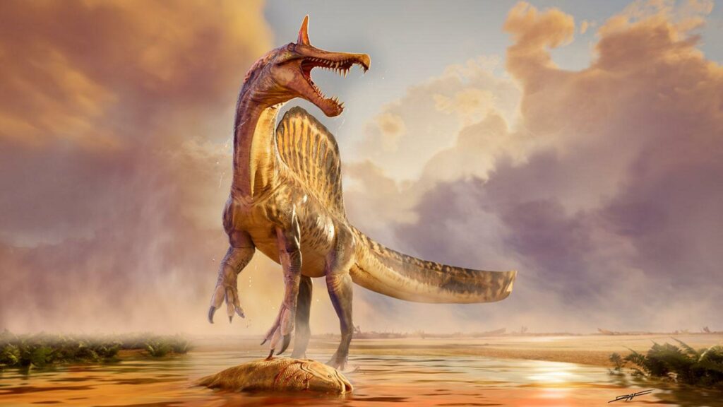 Spinosaurus mirabilis, o “garça do inferno” do Saara que obriga a reescrever tudo o que você sabia sobre dinossauros