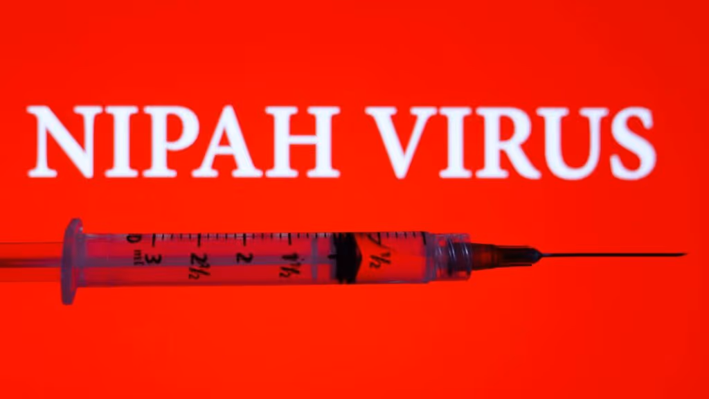 Vírus Nipah! Emergência de saúde levanta alerta global e preocupa autoridades sanitárias