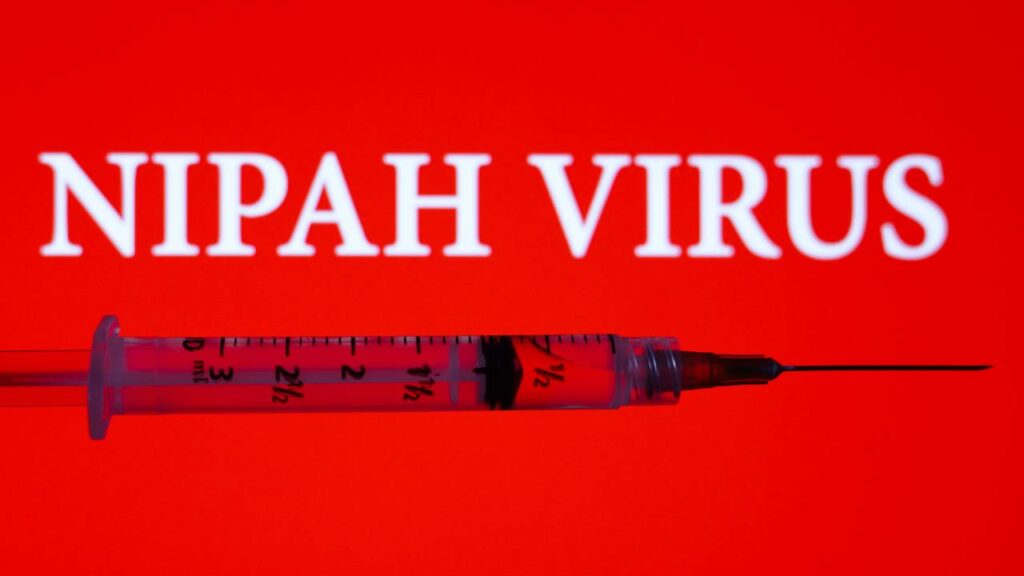 Vírus Nipah! Emergência de saúde levanta alerta global e preocupa autoridades sanitárias