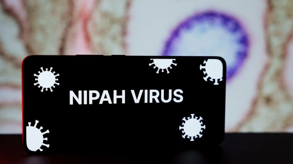 Vírus Nipah! Emergência de saúde levanta alerta global e preocupa autoridades sanitárias