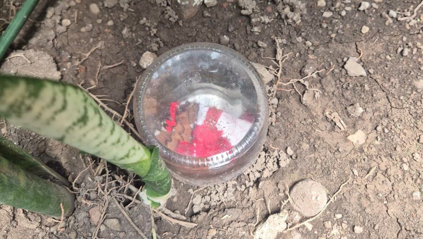 Senador é alvo de despacho de macumba