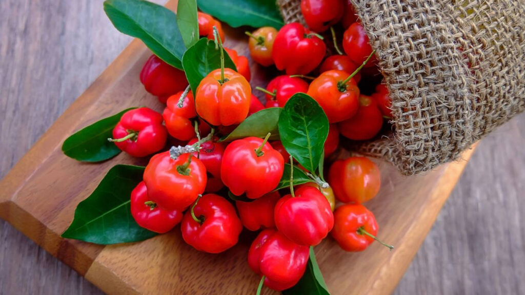 Para que serve a acerola e quais são seus principais efeitos no corpo
