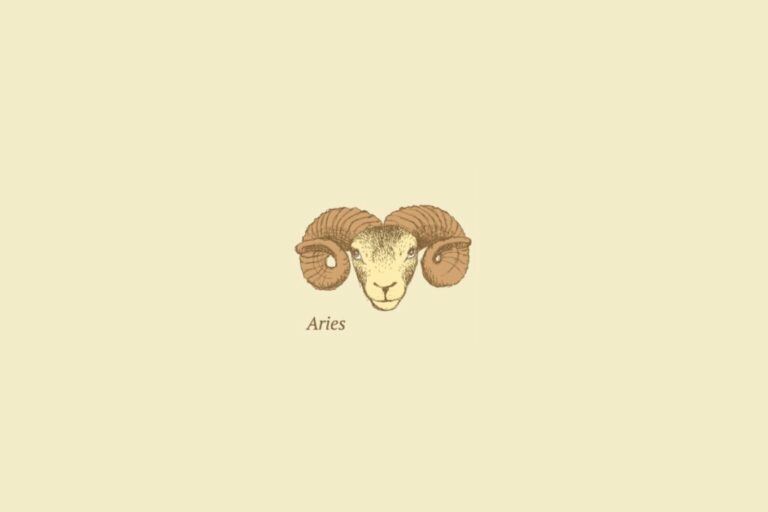 Tarot do dia: previsão para os 12 signos em 20/02/2026