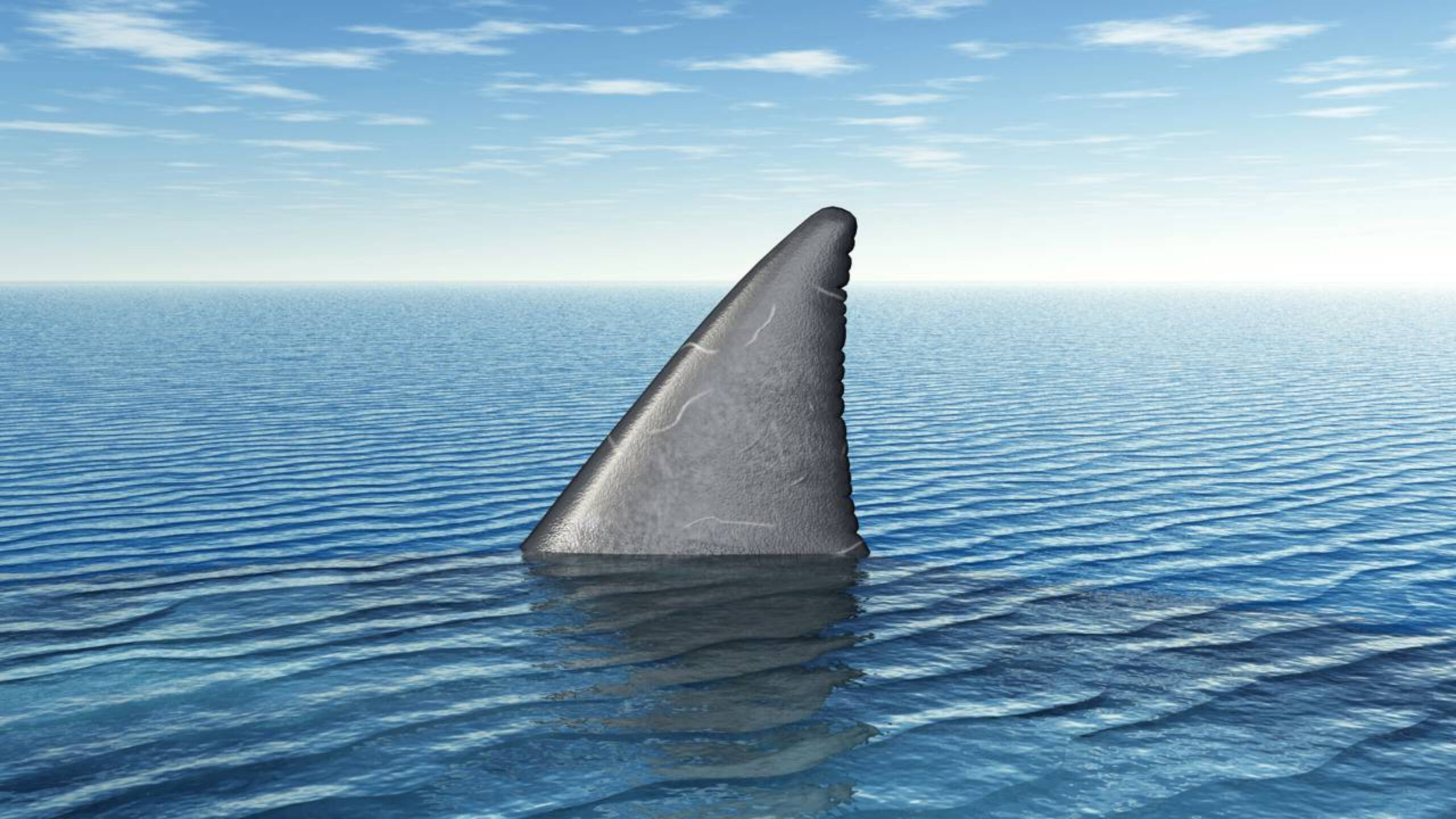 Por que Recife tem tantos ataques de tubarão e o que realmente explica esse fenômeno