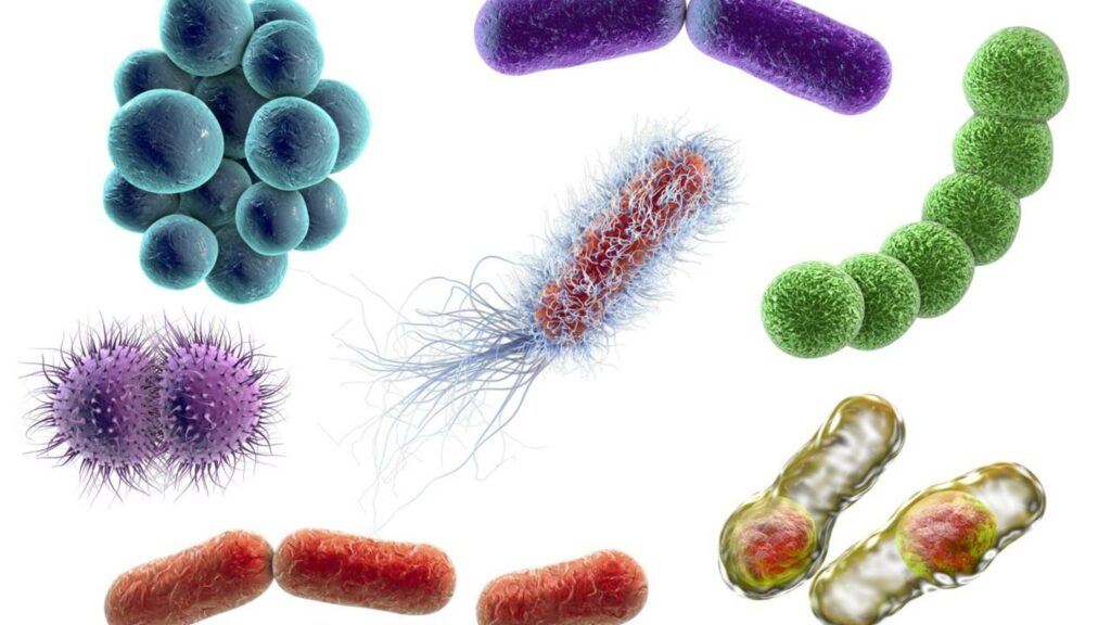 Bactérias de 5.000 apresentam resistência a antibióticos