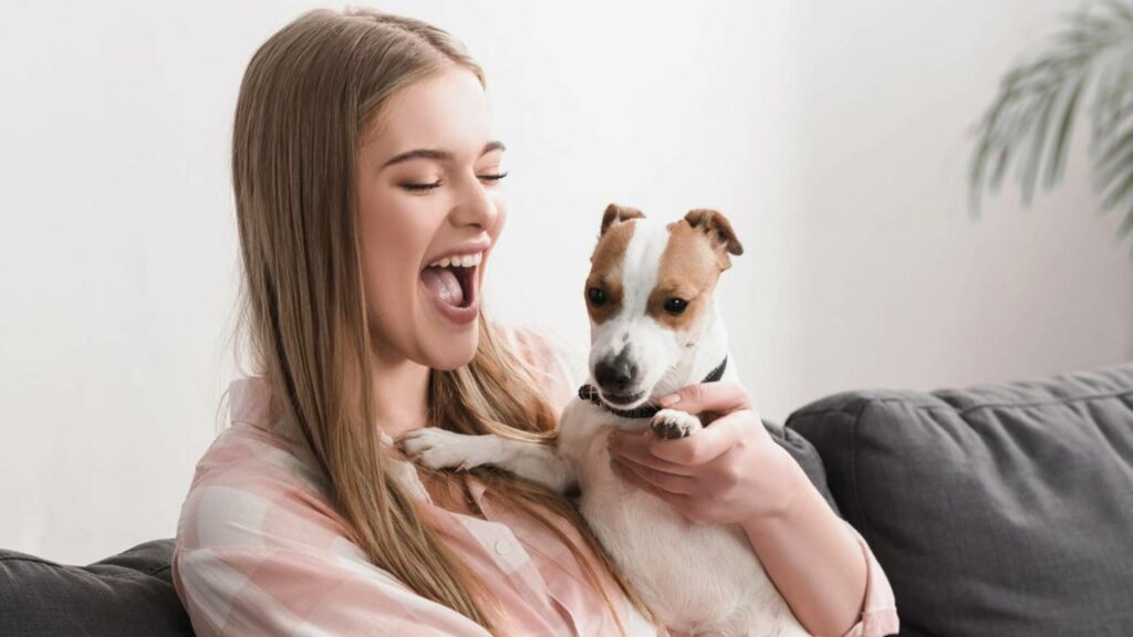 Como eliminar o bafo do seu pet sem gastar com produtos caros