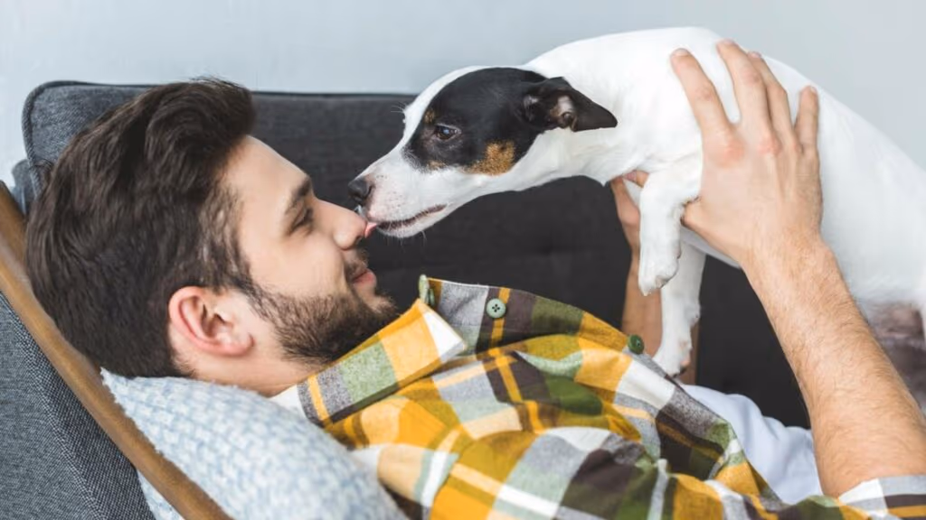 O beijo do cachorro revela mais sobre ele do que você pensa