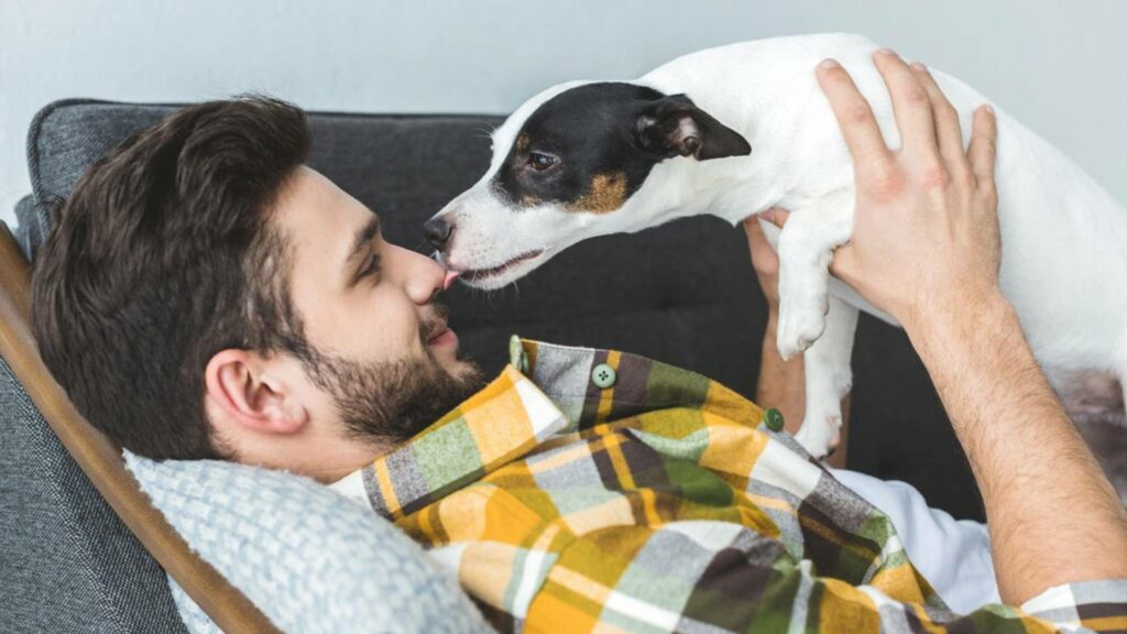 O beijo do cachorro revela mais sobre ele do que você pensa