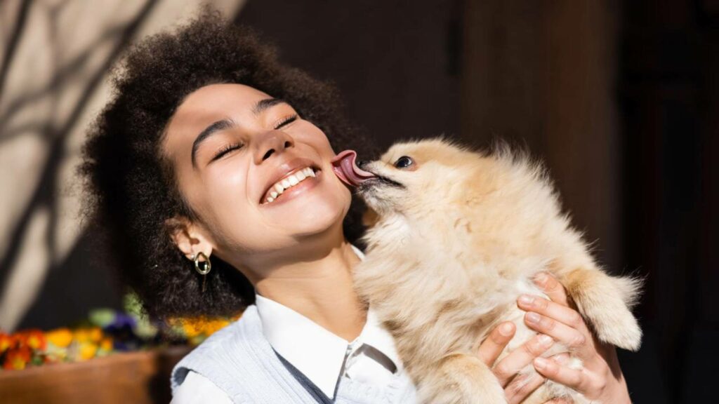O beijo do cachorro revela mais sobre ele do que você pensa