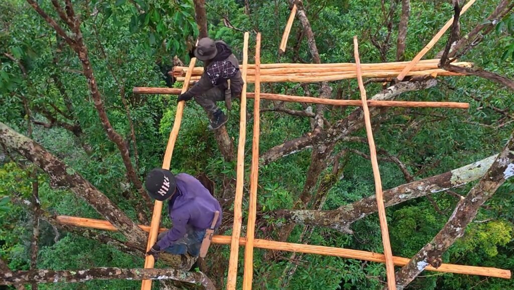Um homem constrói uma casa no topo de uma árvore e deixa internautas impressionados