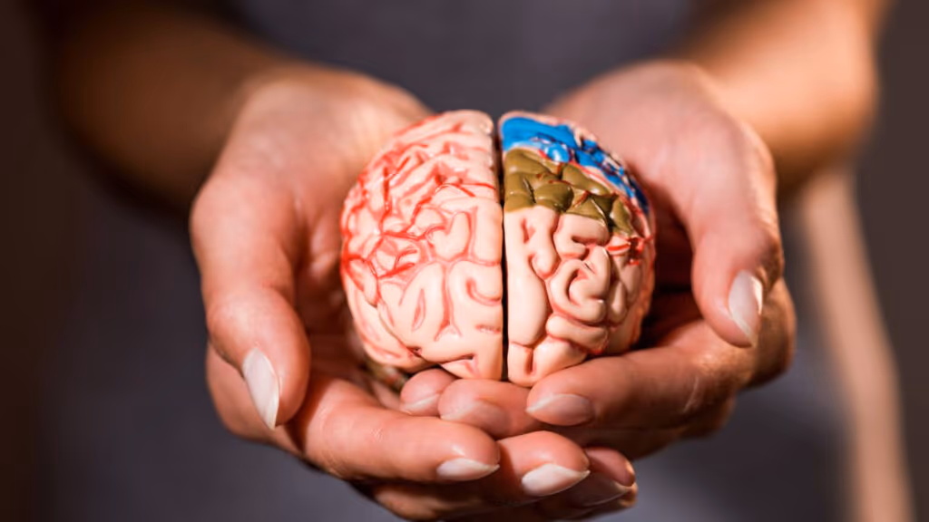 O melhor remédio para o cérebro é de graça e muita gente ignora esse hábito simples