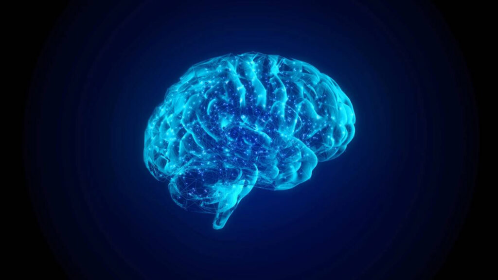 Curiosidades incríveis sobre o cérebro que mostram como ele funciona de um jeito muito além do que imaginamos