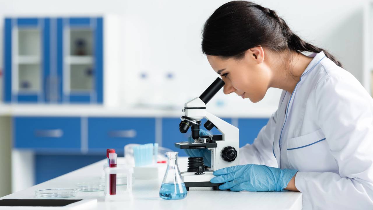 Pesquisadores brasileiros desenvolvem composto químico inédito para o tratamento de malária