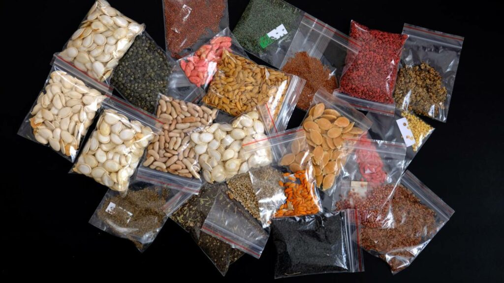 O cofre secreto de sementes no deserto do Atacama que pode salvar o futuro