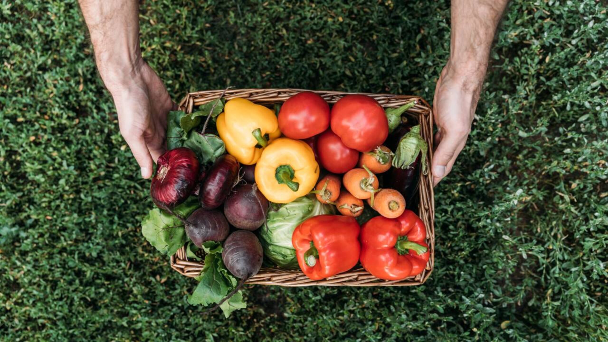 O que plantar em março para colher no inverno mesmo em pequenos espaços