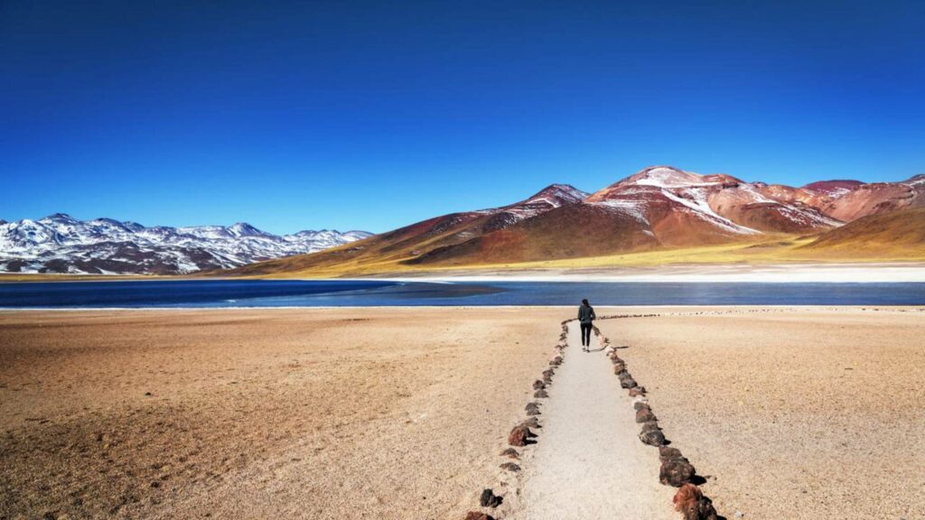 O cofre secreto de sementes no deserto do Atacama que pode salvar o futuro
