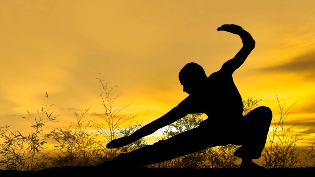 Marco Aurélio, o imperador romano: "A arte de viver assemelha-se mais à luta do que à dança."