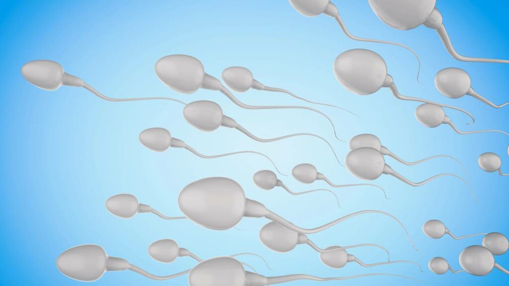 Cientistas descobrem um relógio do envelhecimento escondido no esperma humano
