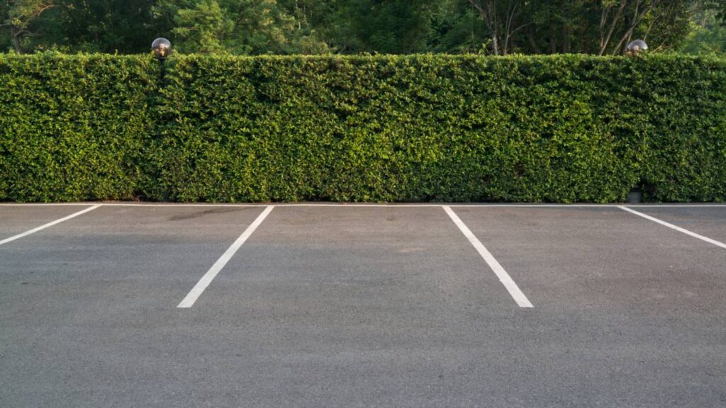 Motociclistas que não conhecem a nova regra de estacionamento podem ser multados; entenda