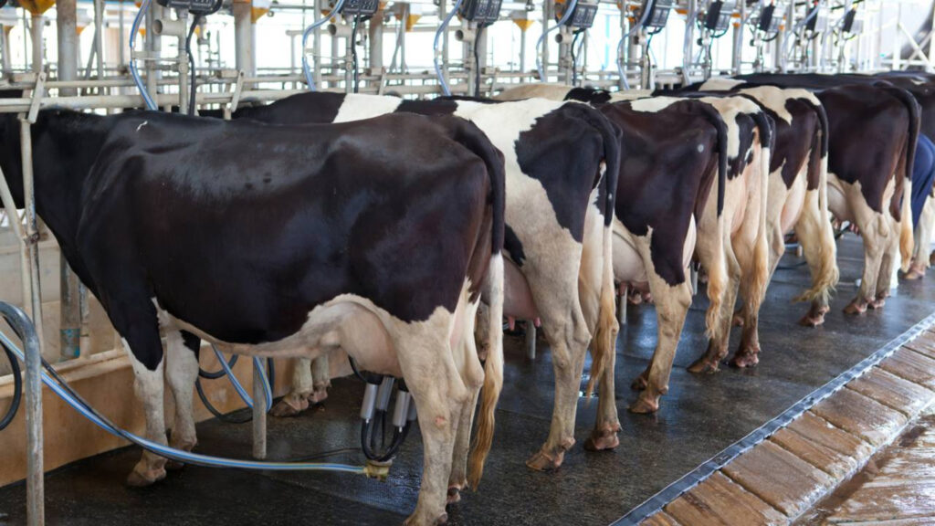 10 fazendas mais estranhas do planeta que desafiam tudo o que conhecemos sobre produção