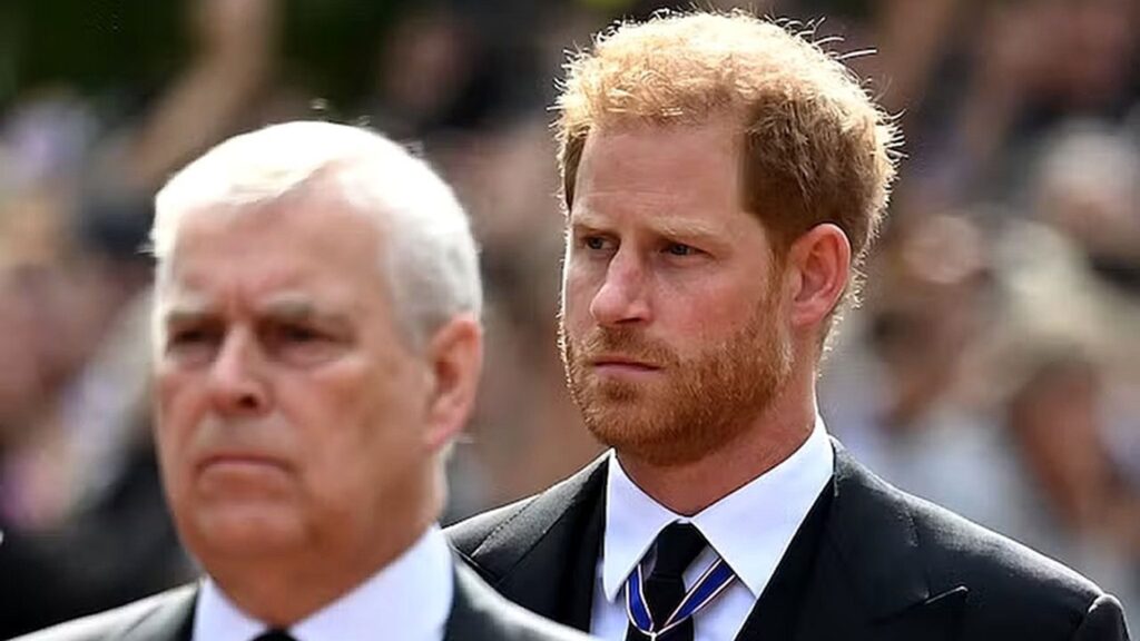 Príncipe Harry é processado por ONG que ajudou a criar
