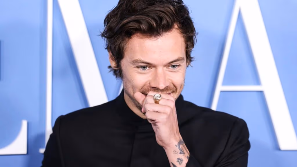 Harry Styles revela função inusitada de aplicativo de namoro