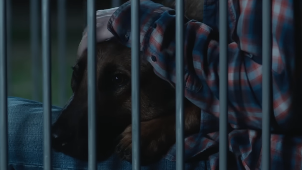 O filme emotivo da Netflix que virou sucesso silencioso e deixa um nó na garganta