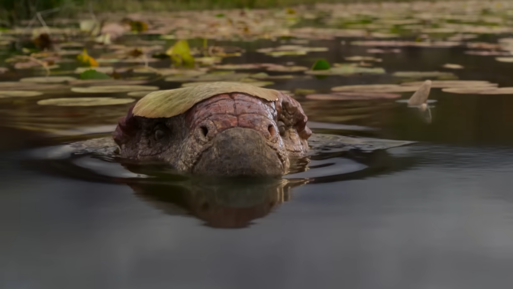Os Dinossauros marca o retorno de Steven Spielberg ao universo pré-histórico na Netflix