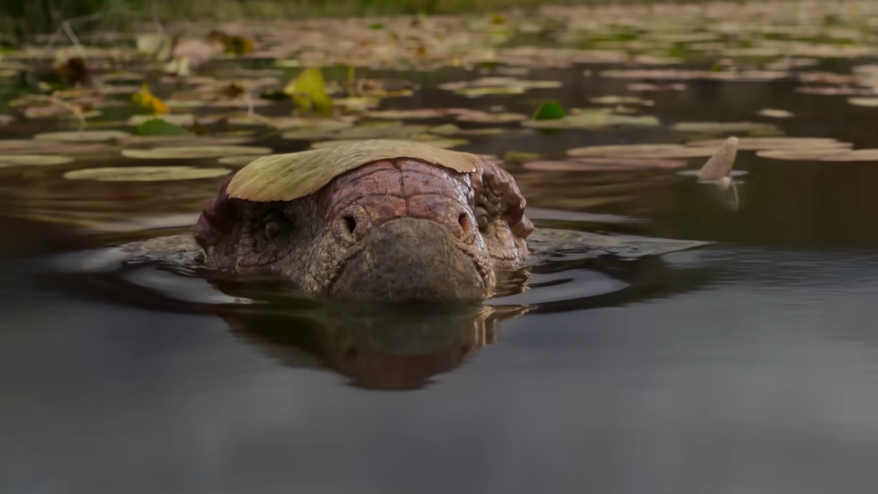 Os Dinossauros marca o retorno de Steven Spielberg ao universo pré-histórico na Netflix
