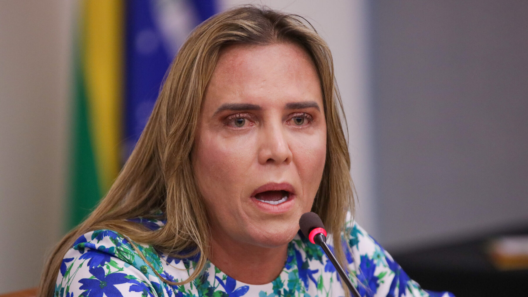 “Banalização do preconceito”, diz Celina Leão sobre desfile em homenagem a Lula