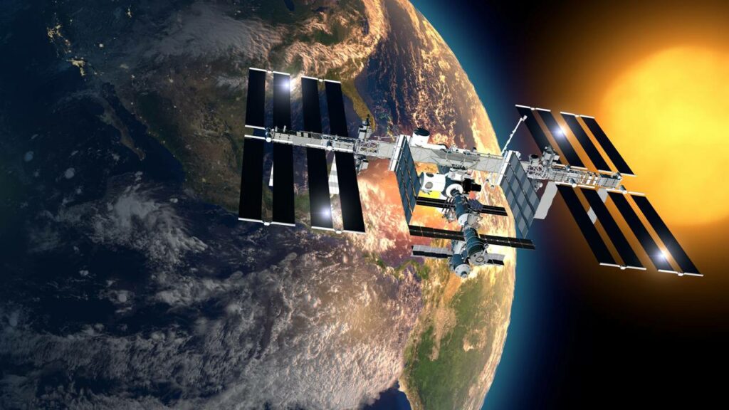 O musgo que desafiou o vácuo e sobreviveu 9 meses no espaço